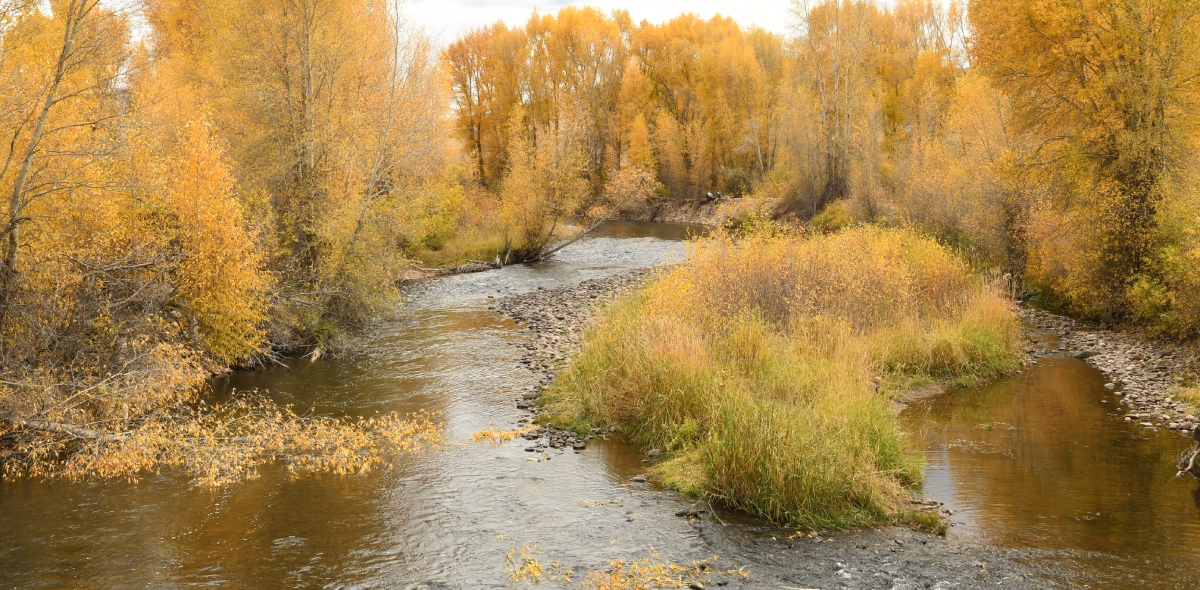 Rockwell Creek scenery